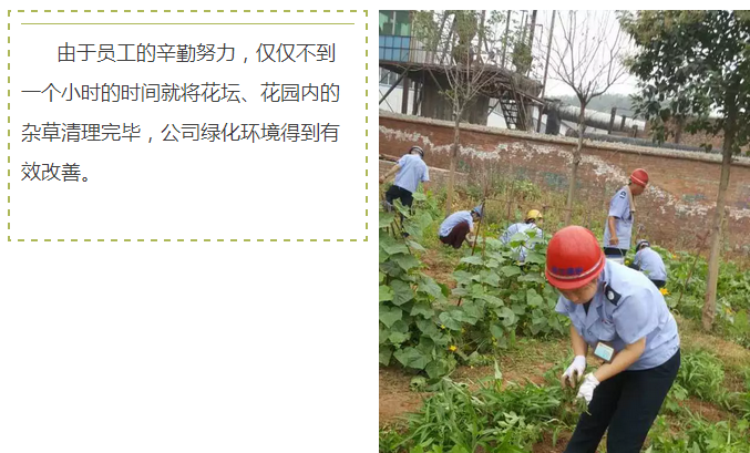 員工冒雨參加義務勞動！感動———偉志鋼模板廠家